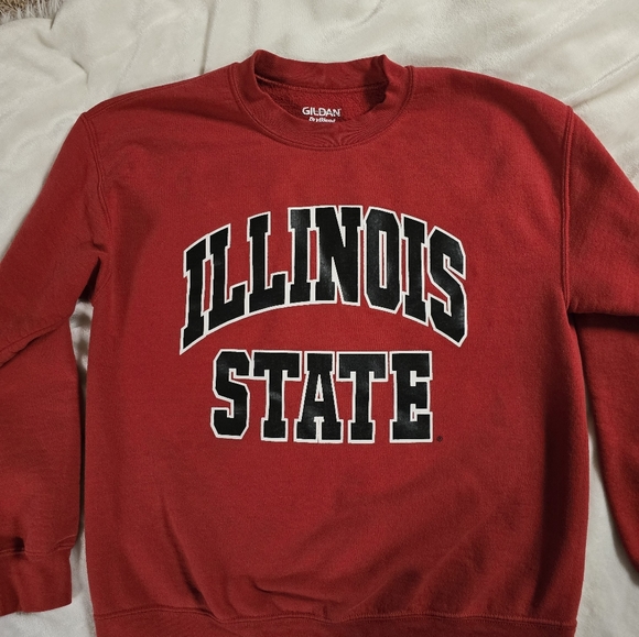 Vintage Illinois state crewneck, size medium - Picture 2 of 4